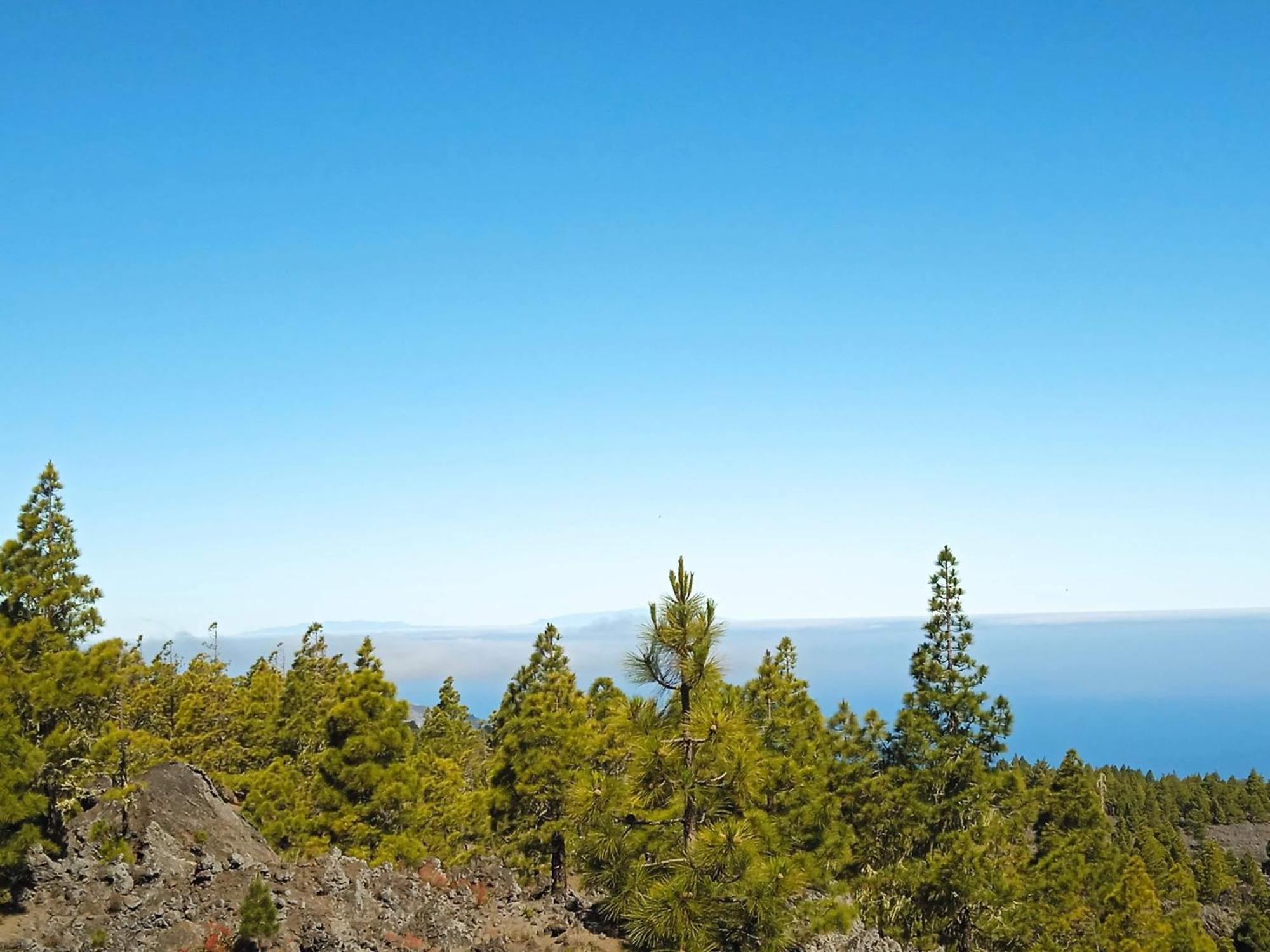 Готель Un Jardin Al Mar Genoves Екстер'єр фото